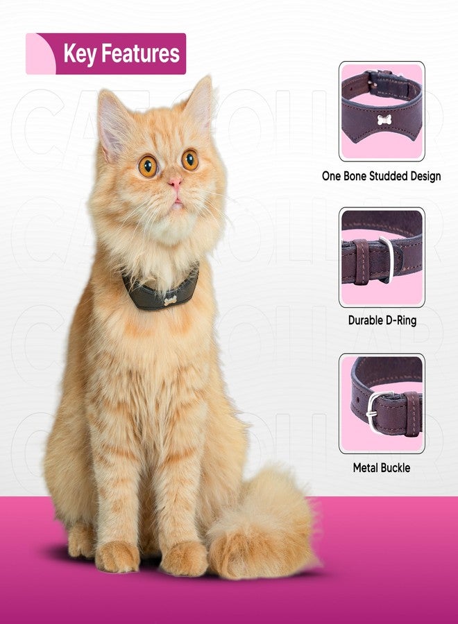 ADIL'S Adil’S Leather Cat Collar - Stylish Single Bone Studded Design, Breakaway Soft pet Collar, Adjustable Metal Buckle with Strong D-Ring for Leash attachments for Outdoor Adventures (Brown) - Image 5